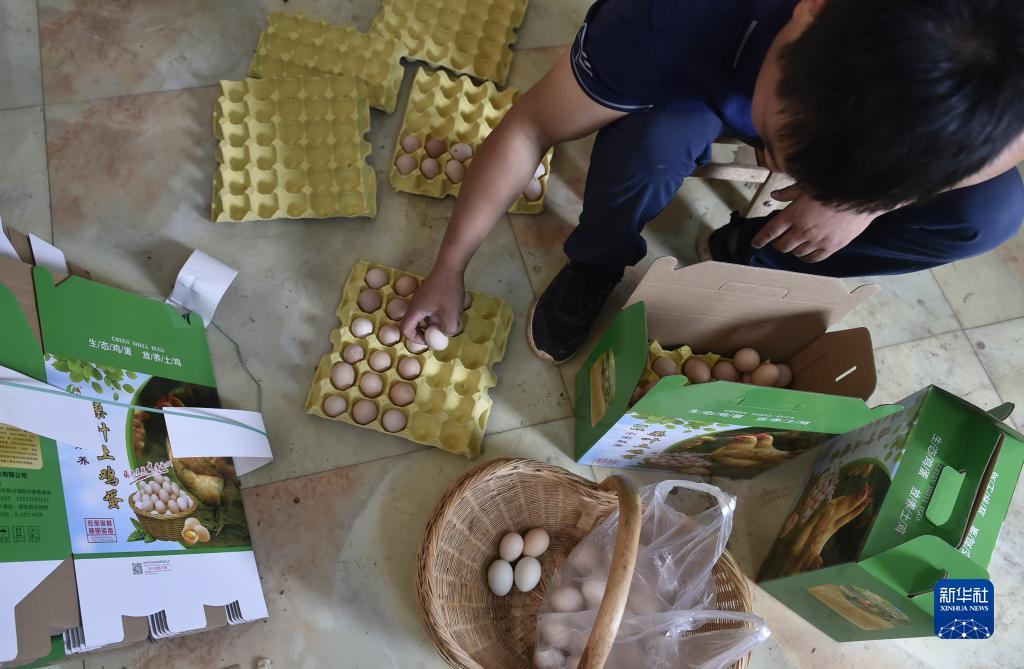 捕鱼游戏电脑版下载开心捕鱼pc版
